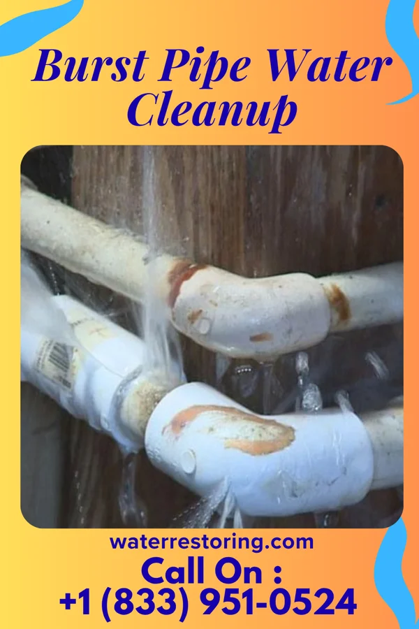 Burst Pipe Water Cleanup in Whitewater, CA