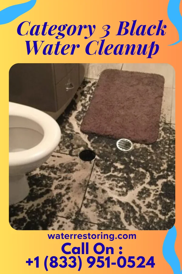 Category 3 Black Water Cleanup in Whitewater, CA